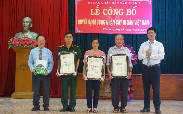 Lễ[-]trao[-]bằng[-]công[-]nhận[-]cây[-]di[-]sản[-]tại[-]xã[-]Kim[-]Anh,[-]huyện[-]Kim[-]Thành,[-]tỉnh[-]Hải[-]Dương